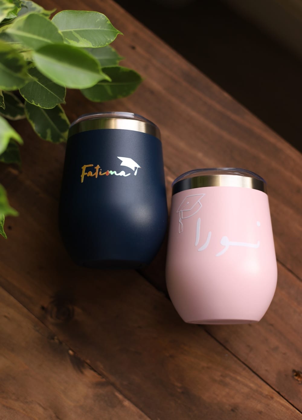 بوكس ( ختامها فخر )